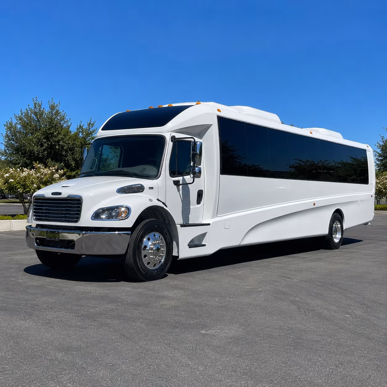 roswell 18 passenger minibus