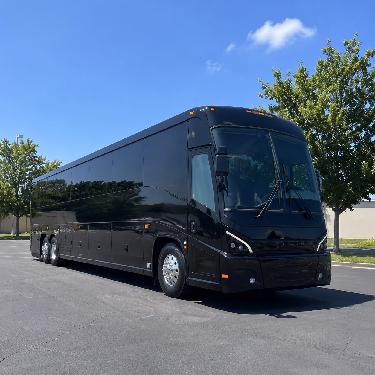 roswell 56 passenger charter bus
