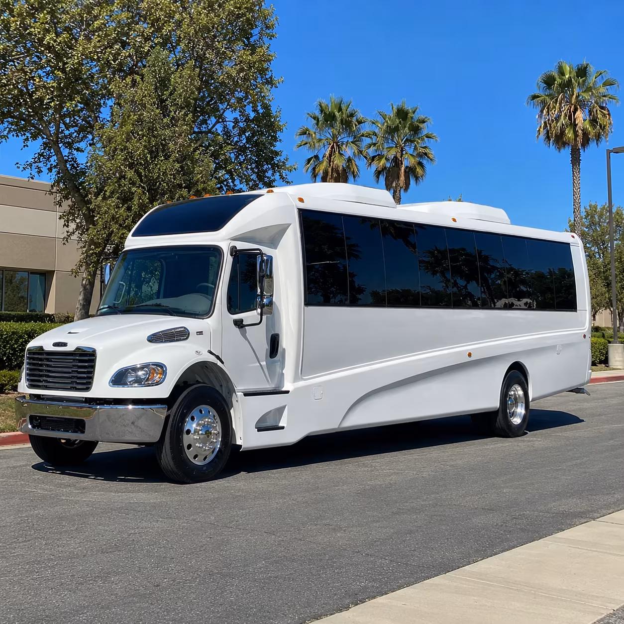 roswell birthday party transportation