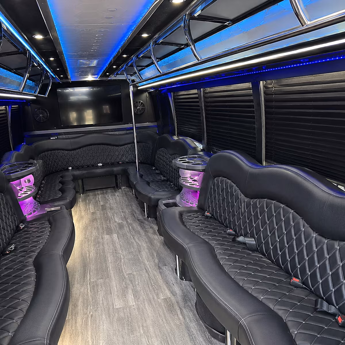 roswell party bus inside