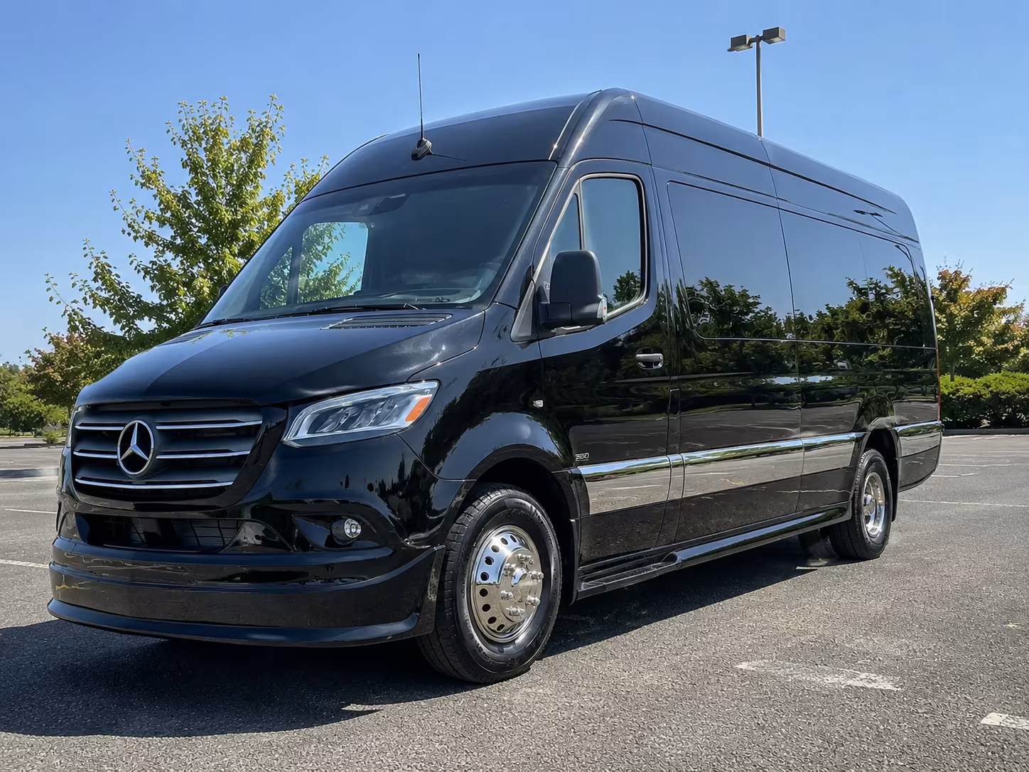 roswell sprinter van with driver